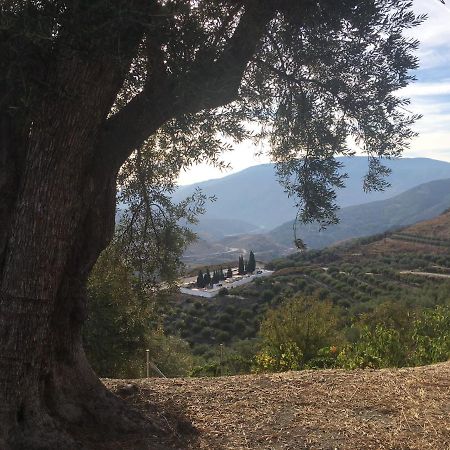 Jardin Andaluz Appart Alhambra Pinos del Valle المظهر الخارجي الصورة
