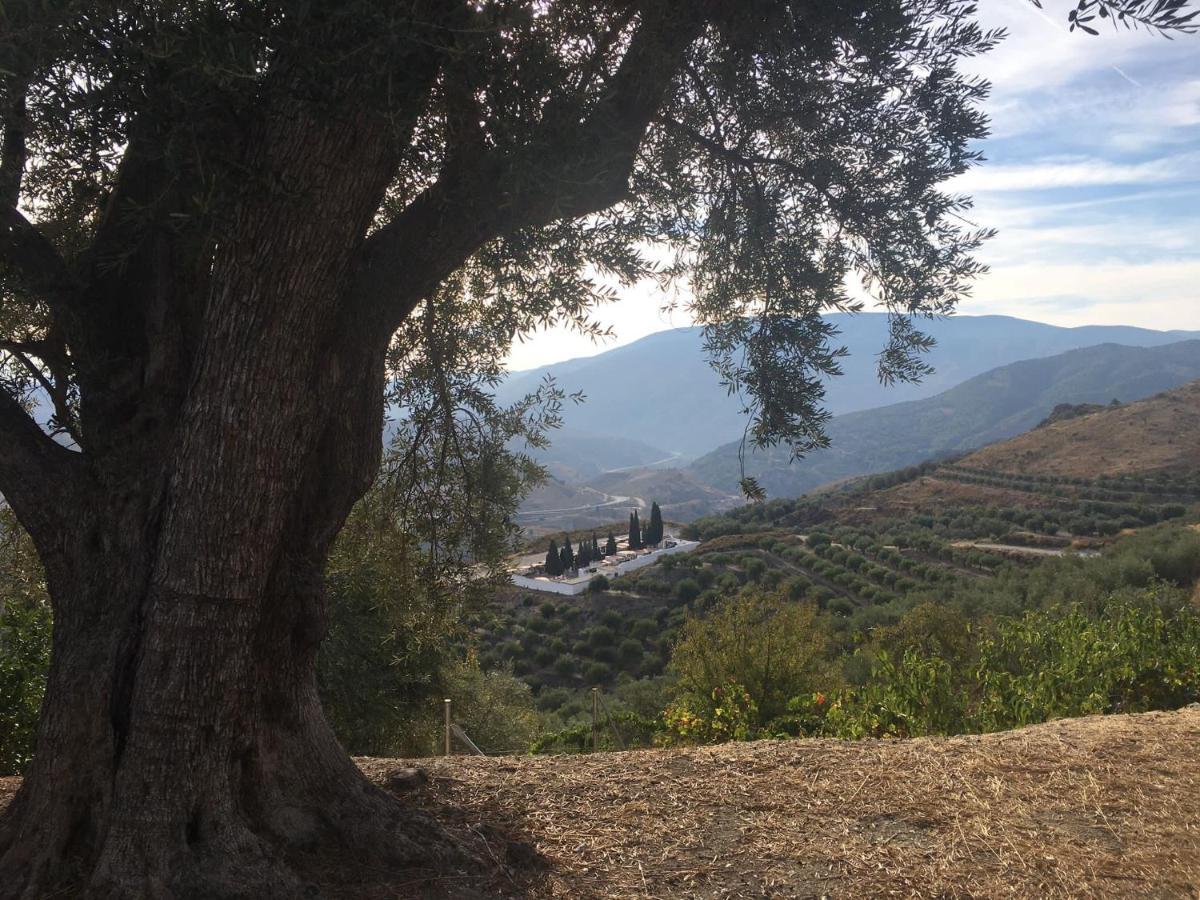 Jardin Andaluz Appart Alhambra Pinos del Valle المظهر الخارجي الصورة